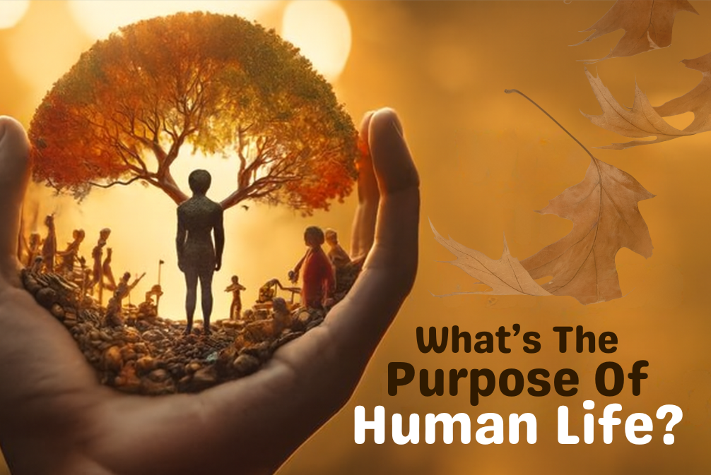 Illustration representing the purpose of human life as a walk through the House of Being, showing rooms of health, love, self-love, gratitude, growth, suffering, wonder, daily practice, and kindness.